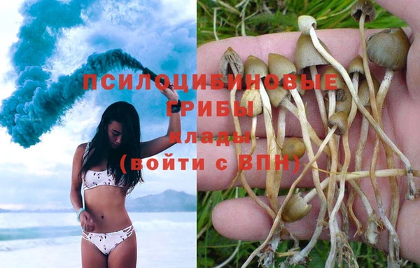 каннабис Алексеевка