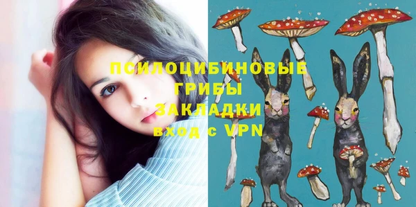круглые Алзамай