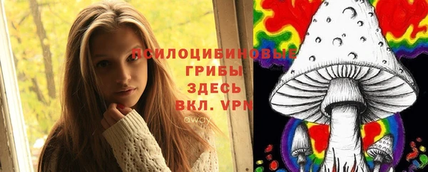 круглые Алзамай